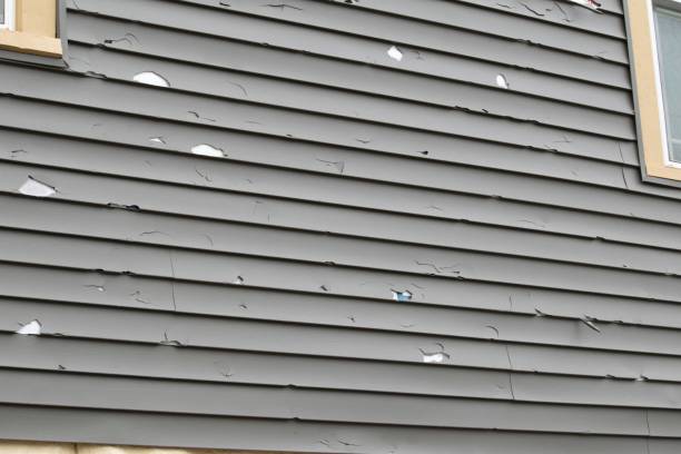 Best Custom Trim and Detailing for Siding  in Neillsville, WI